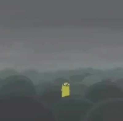 xd