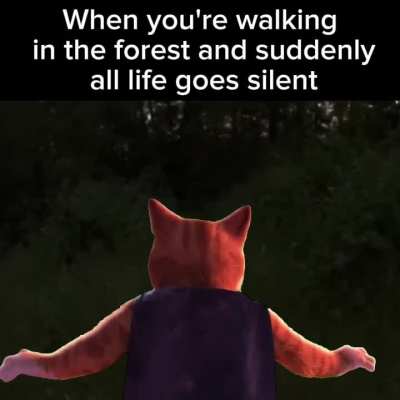 Somethings nearby