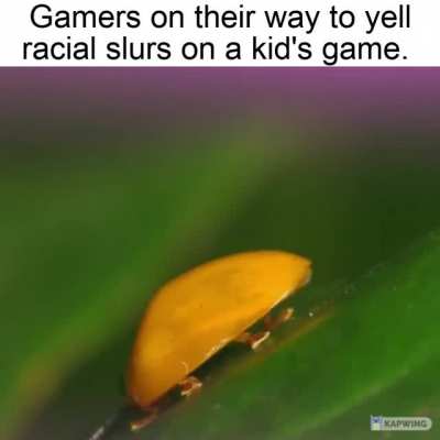 Never heard so many slurs yelled in a single minute as when playing amogus.