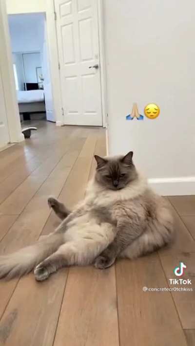 Wow.