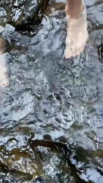 Nature is Bliss (From TikTok)