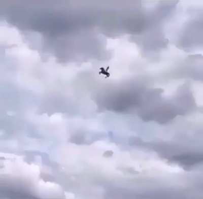 They fucked up