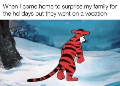 Guess I should head back...