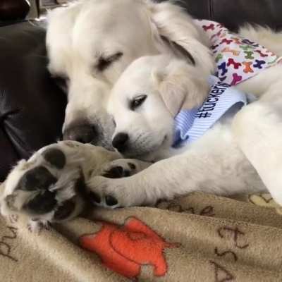 Snuggling with dad.