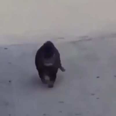 Run