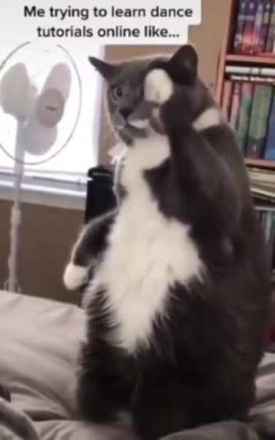 Learning to dance