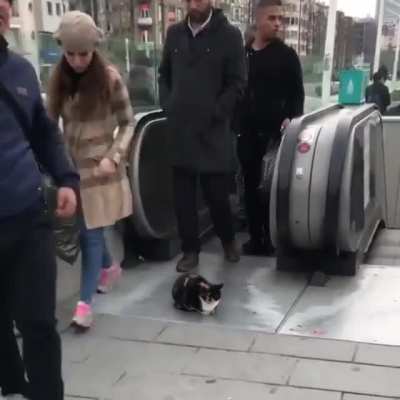 Zero f*cks given