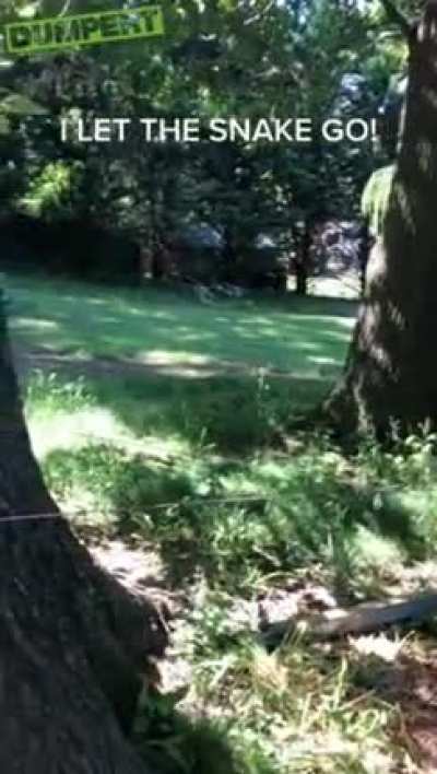 Throw the stick!
