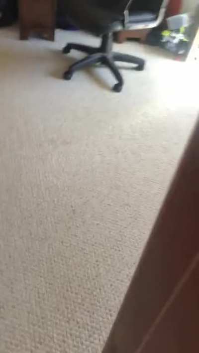 Fs in the chat, please