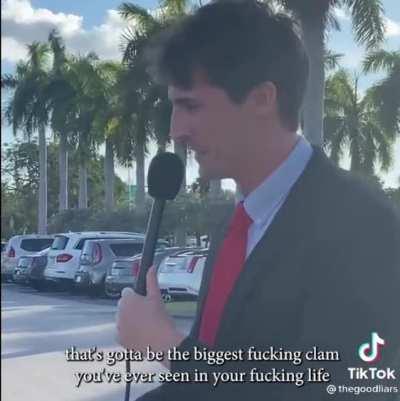 The insanity never ends
