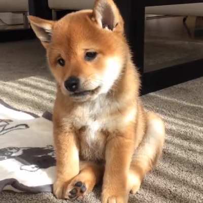 Those eyes!