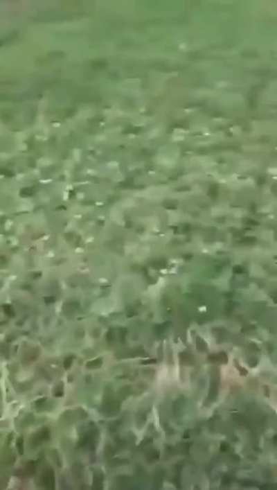 What A Jump.....