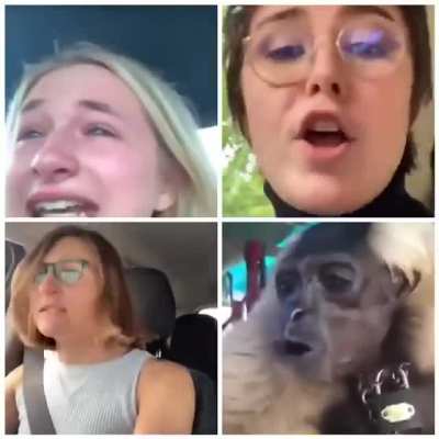 Wait for it...