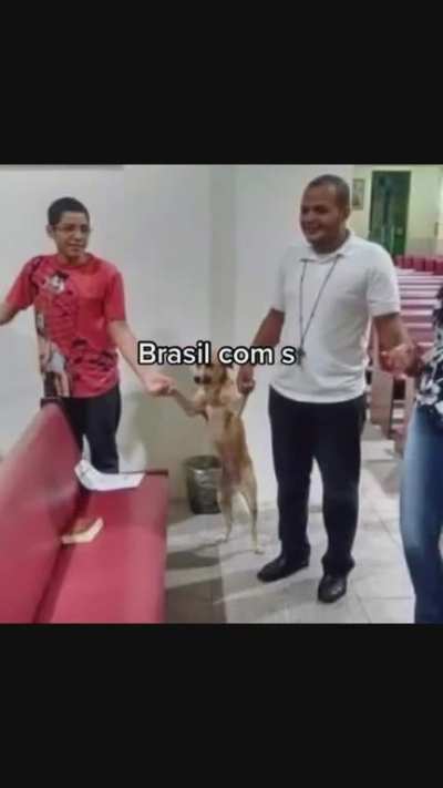 EU🇧🇷NVR