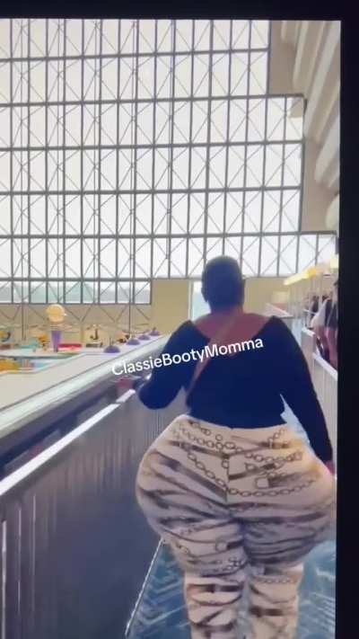 Curvy Auntie