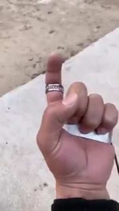 Ahí se los dejo