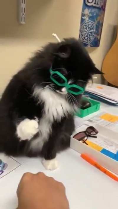 Awww