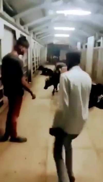 Maybe Maybe Maybe