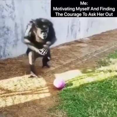 Primal Instinct