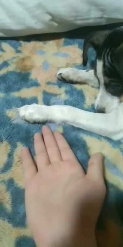 I'm sure he'll learn soon enough.