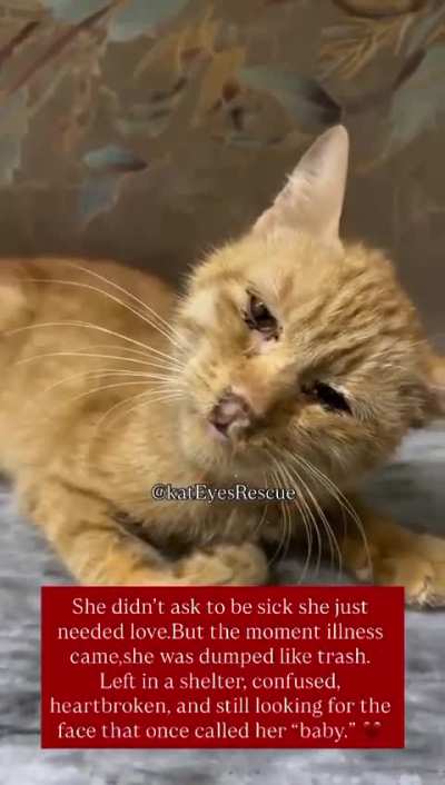 She didn’t ask to be sick she just needed love. But the moment illness came, she was dumped like trash. She needs immediate medical care, treatment, and support to get a second chance at life.