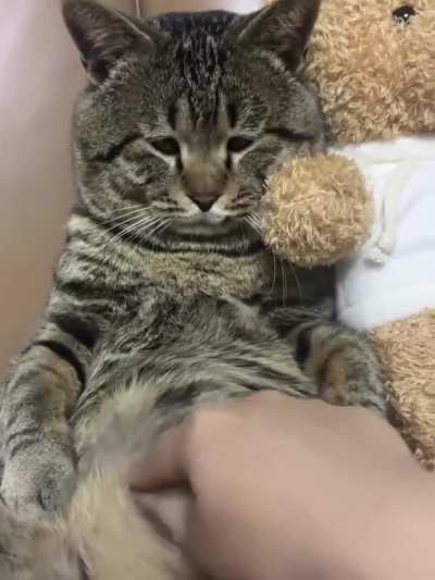 You touched my belly and now you owe me rent