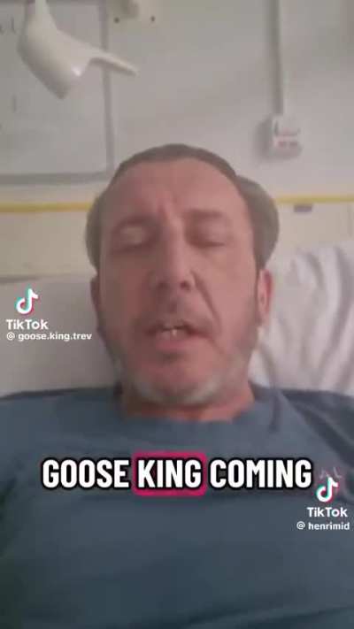 What a silly goose