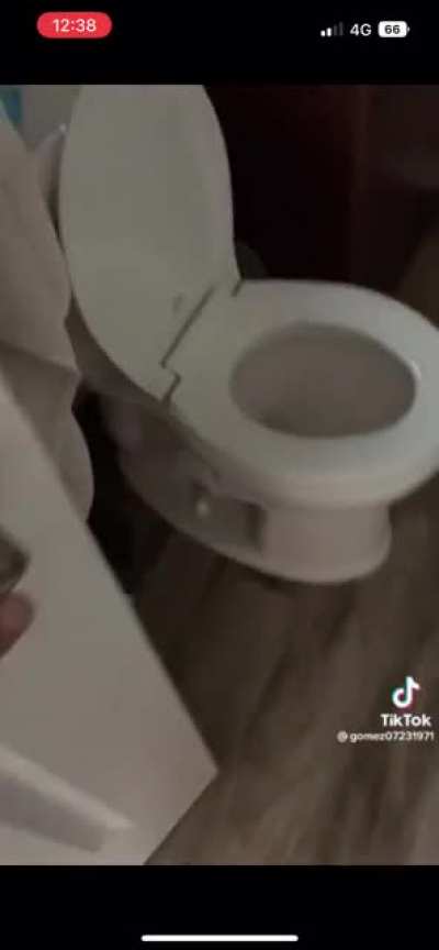 Just going into the toilet.