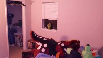 bed_irl