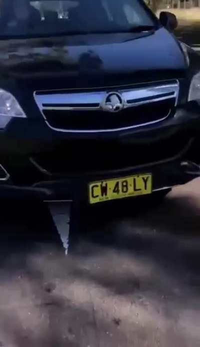 To attempt to run off