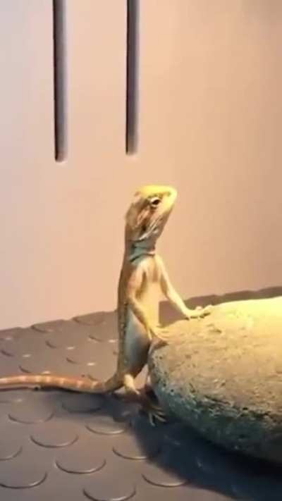 When she say 