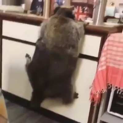 Чрезвычайно широкая кость