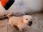 Wait for the little bite at the end.
