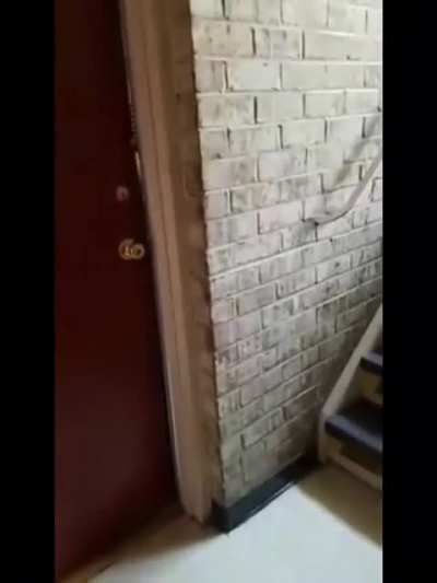 Lady caught stealing packages from neighbor, turns into meek child after being confronted.