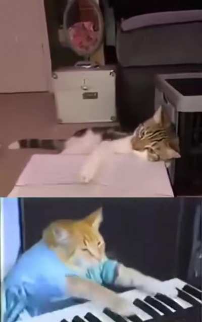 Cat-tar