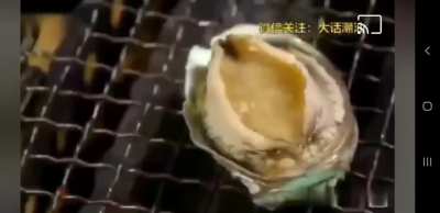 Blursed_Sea food BBQ