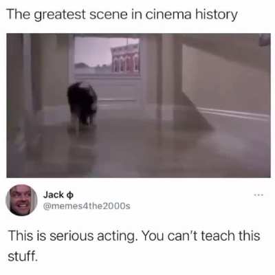 This dog is no fool