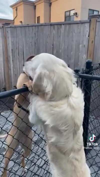 Greeting your girlfriend