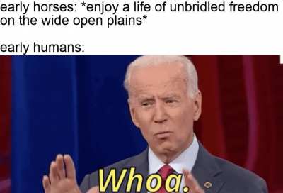 we kept telling them neigh