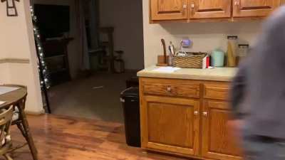 Our corgi Hiccup loves to play “hide-n-seek” with my husband around the house. He doesn’t like losing traction on the hardwood floors, though