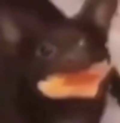 Äh