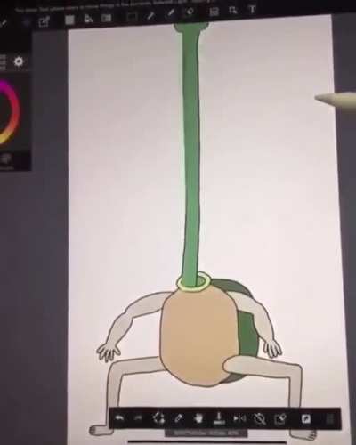 Long turtle neck