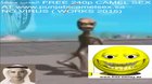 www.punjabicamelsex.sa FREE CAMEL SEX DOWNLOAD 240p (NO VIRUS)