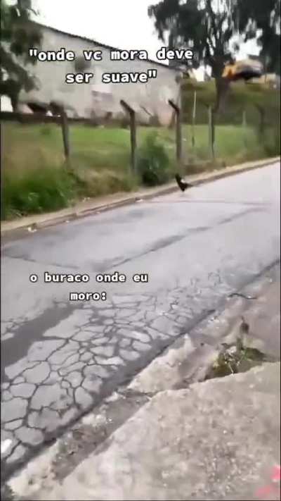 rip