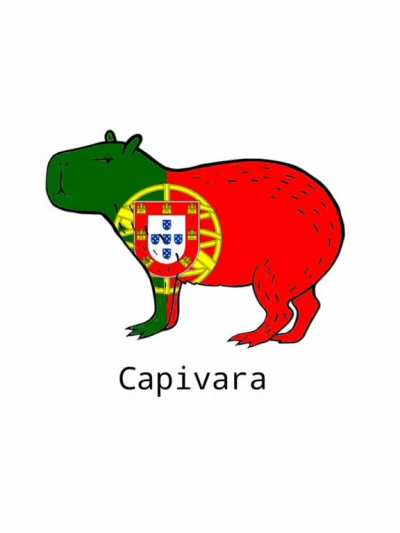 idiomas