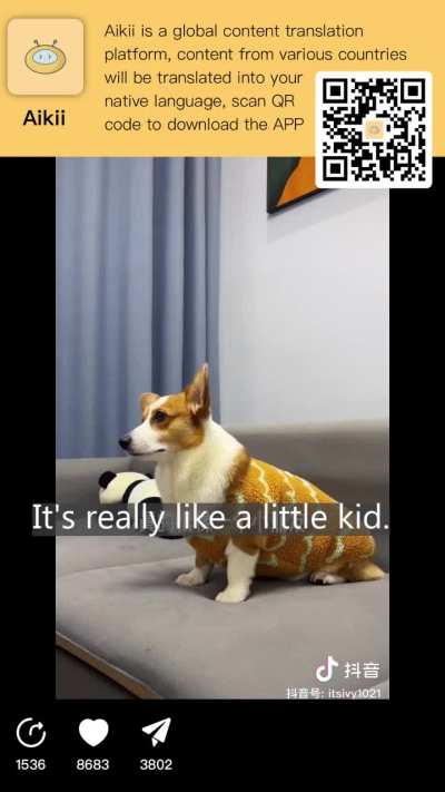 It turns out there are cartoons tailored specifically for dogs