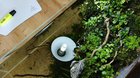 Some people asked me how my paludarium works, so here is how