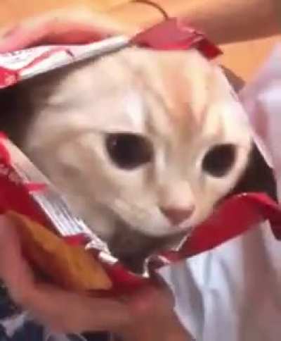 Cute pussy