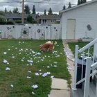 “You...you’re home early”