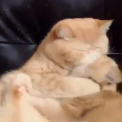 “Lick lick, hmm you taste the delicious”